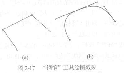 钢笔工具绘图效果