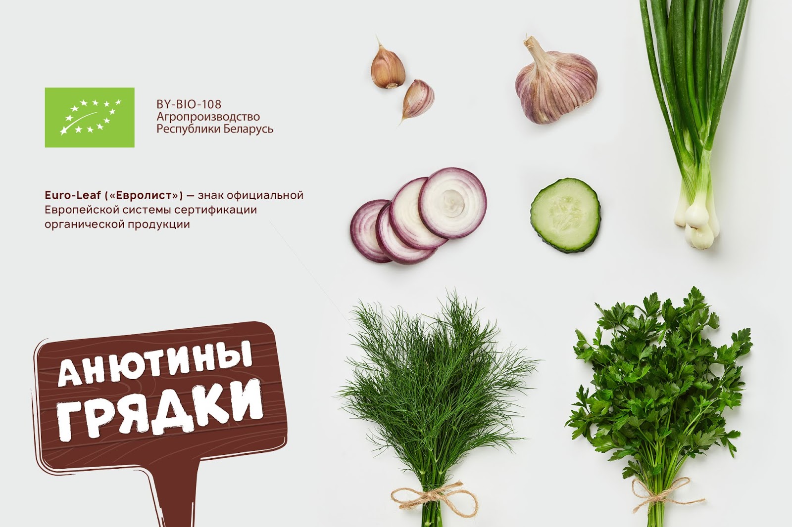 环保蔬菜西安爱游戏全站官网登录
品牌包装设计