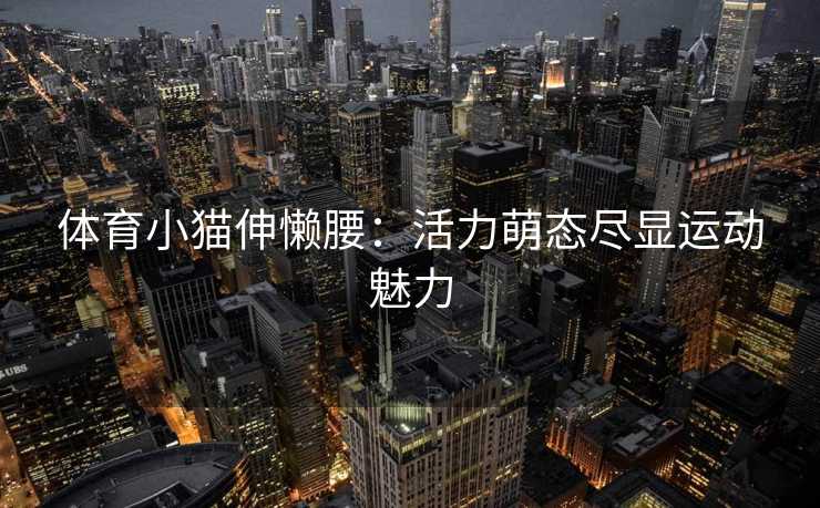 体育小猫伸懒腰：活力萌态尽显运动魅力